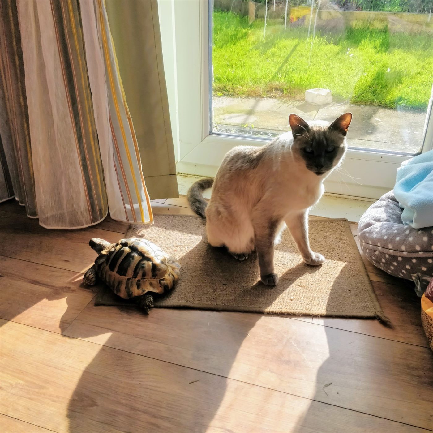 Sebastian and Wilbur